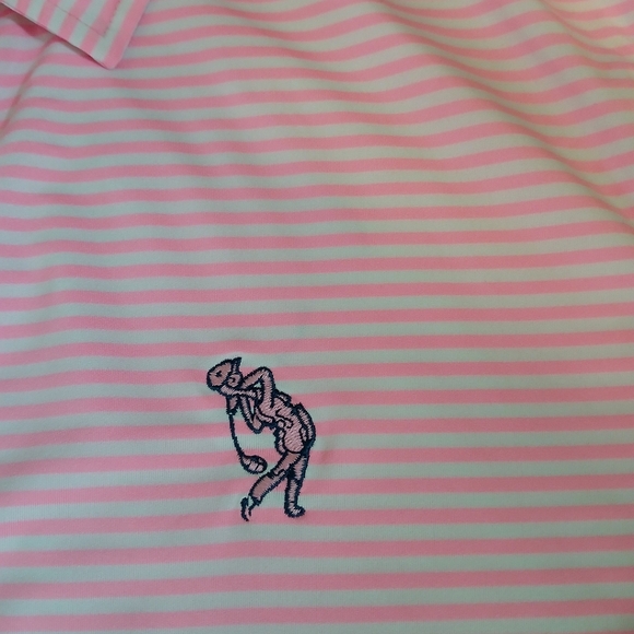 RLX Ralph Lauren Striped Polo Golf Shirt Men's Size Large - Picture 3 of 5